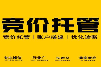 百度竞价广告投放策略：案例分析及优化建议
